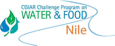 Collection logo