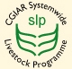 Collection logo
